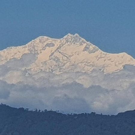 New Bloom Homestay Kurseong Exteriör bild