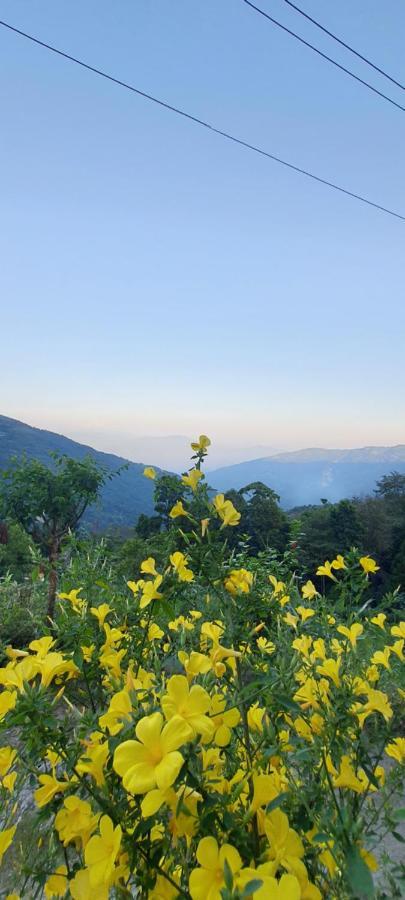 New Bloom Homestay Kurseong Exteriör bild