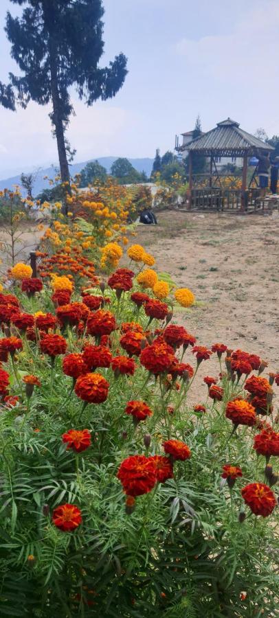 New Bloom Homestay Kurseong Exteriör bild