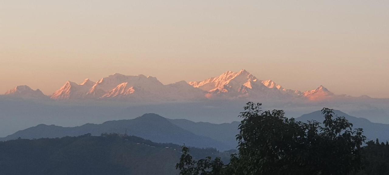 New Bloom Homestay Kurseong Exteriör bild